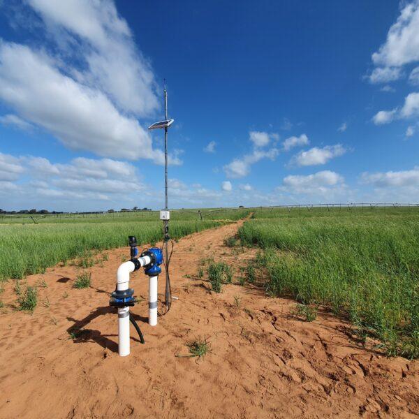 Horicultural Irrigation - Image 7